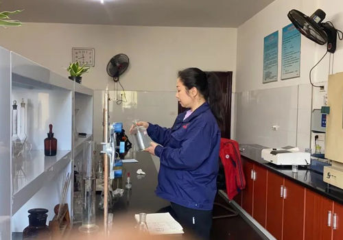 &#20061;&#28216;